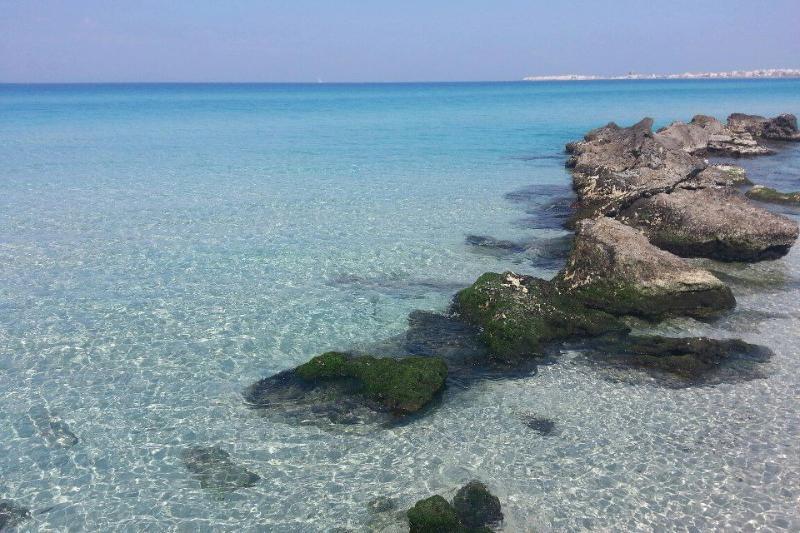 Arbacani Holydays Gallipoli